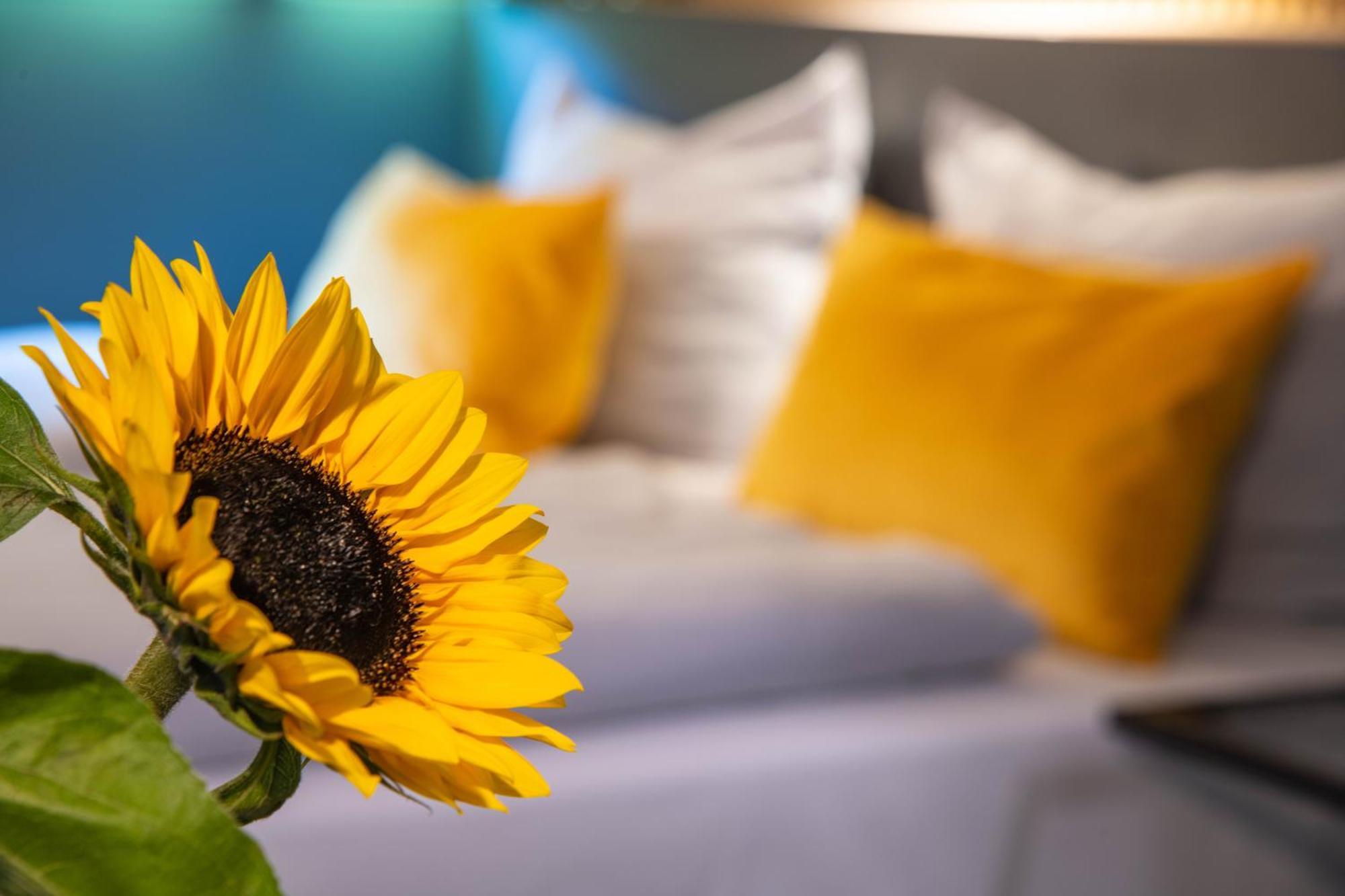 Beevillage Messehotel Hannover Отель 2*